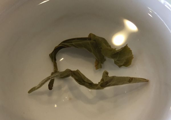 茉莉花茶の最高級 慶光茶荘 公式ブログ