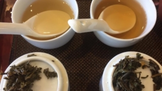中国茶の比較試験