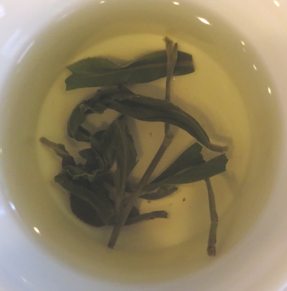 文山包種茶　茶湯
