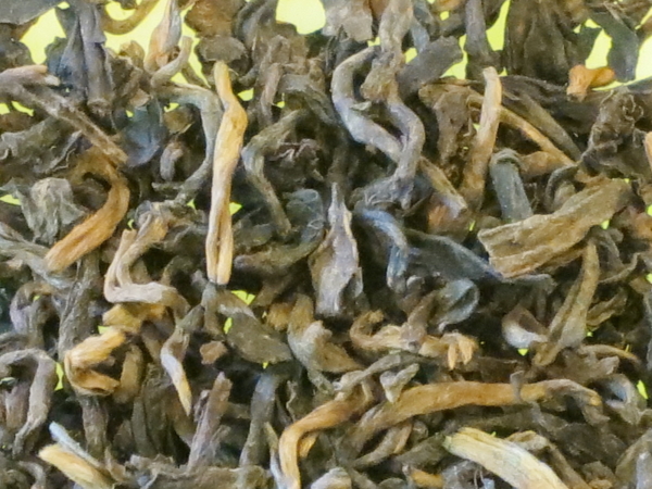 プーアル茶２０年醗酵茶葉