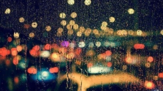車から見た雨の風景