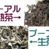 プーアル茶の二つのタイプ　熟茶と生茶 | プーアル茶の選び方