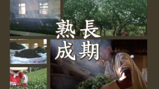 プーアル茶１６年発酵は慶光茶荘のオリジナル