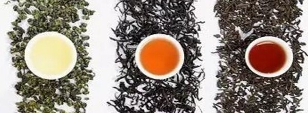 烏龍茶VSプーアル茶　茶葉　茶湯