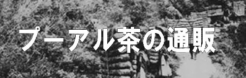 普洱茶 プーアル茶 プーアル茶を漢字で表記する