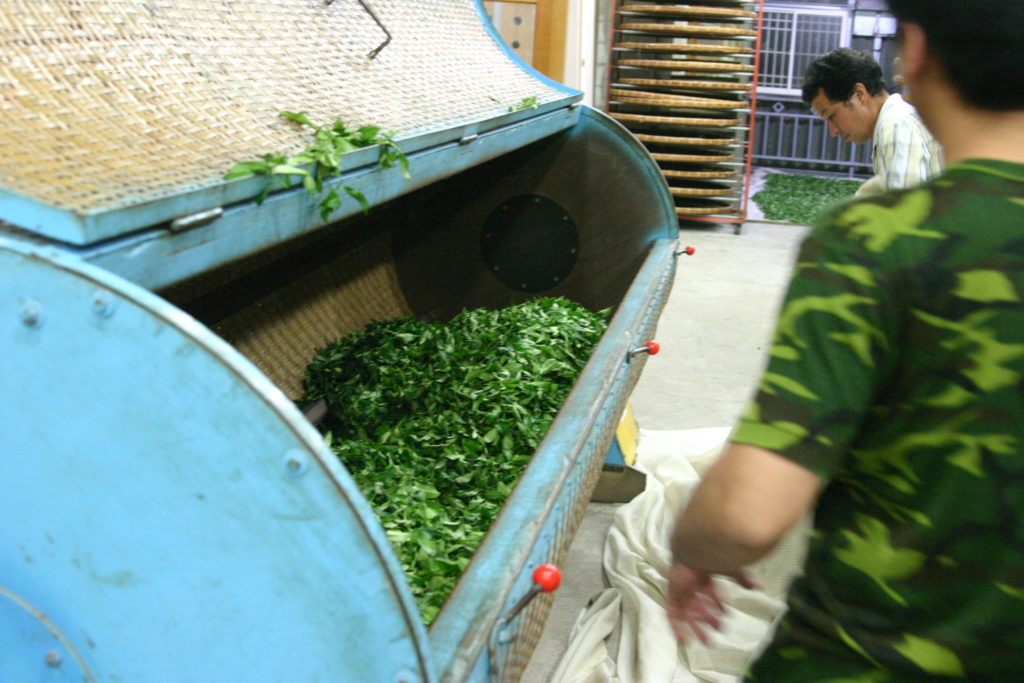 揺青工程　茶葉を竹かごに入れる
